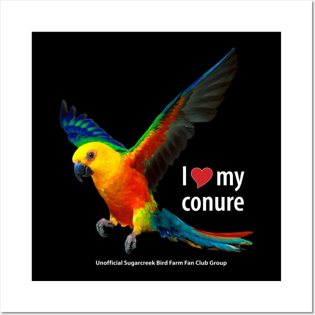 conure Wall Art by Just Winging It Designs